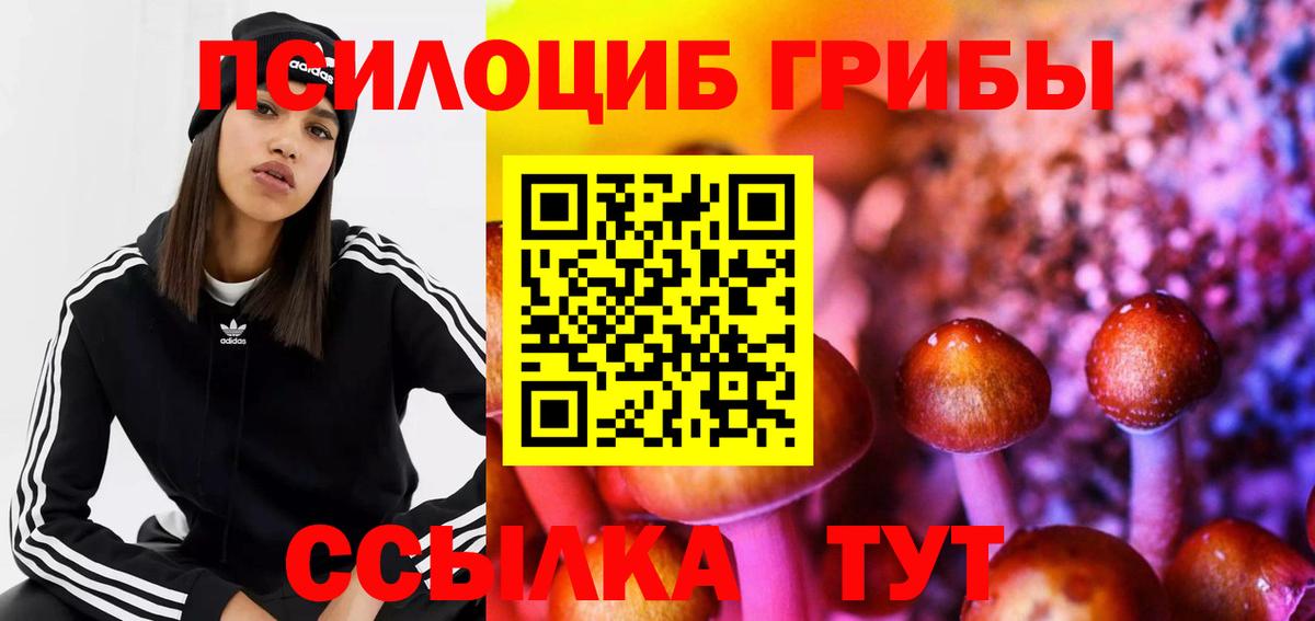 Псилоцибиновые грибы MAGIC MUSHROOMS  Вход с VPN  Егорьевск 